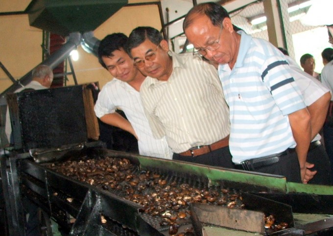 Ông Nguyễn Văn Thỏa (đứng giữa) trong lần thăm quan công nghệ bóc vỏ hạt điều. Ảnh: NNVN.
